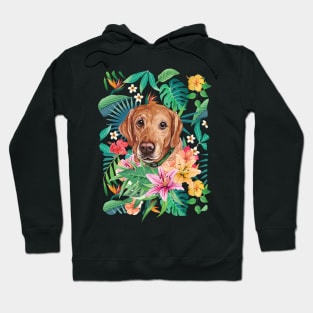 Tropical Labrador Retriever 2 Hoodie